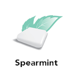 Spearmint Flavor